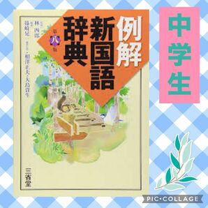 例解 新国語辞典 三省堂 国語辞典 辞書 現代文 中学 高校入試 高校受験 受験 入試 中学生 中1 中2 中3 テスト 事典