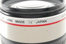 Canon キヤノン EF 100-400mm F4.5-5.6L IS USM_画像9