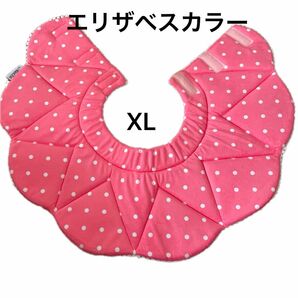 プレミアム　エリザベスカラー　ピンク水玉　XL 