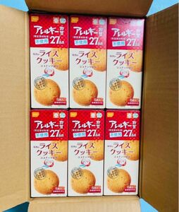 24箱　菓子まとめ売り　ビスケット