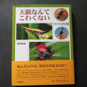 初版帯付 2008年 八坂書房 西田隆義 天敵なんてこわくない 虫たちの生き残り戦略 