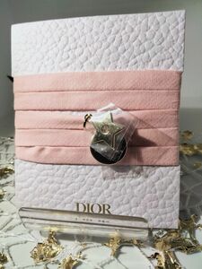 送料無料！DIOR/ディオール/チョーカー/未使用品