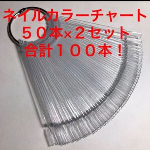 ネイルカラーチャート100本セット スティックタイプ クリア