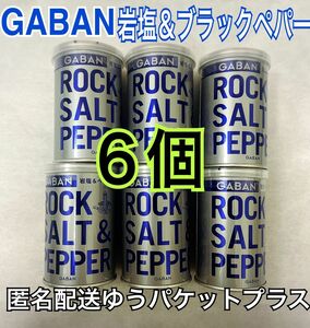 GABAN 岩塩&ペパー 6個 ギャバン 90g