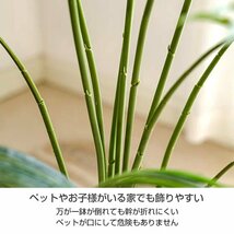 訳あり 観葉植物 フェイクグリーン 大型 リアル 高さ210cm おしゃれ プレゼント 人工観葉植物 飾り用 撮影用 部屋飾り 鉢植 お祝い sg020-w_画像5