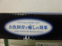 10369●AGC グラステリアスリム SLIM600 水槽 新品未使用品●_画像10