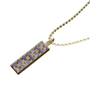 アメシスト(紫水晶) ネックレス プレート 18金イエローゴールド 2月の誕生石 中サイズ