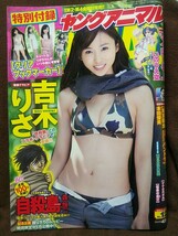 ヤングアニマル 2013年No.12 吉木りさ 小池里奈(告知ページ) 椎名えるな(懸賞ページ)_画像1