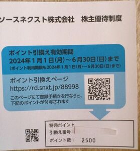 ソースネクスト株式会社 株主優待制度 特典ポイント2500ポイント 引換え有効期間2024/6/30まで