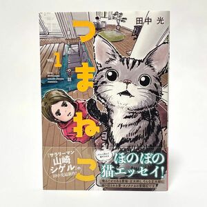 つまねこ〜妻とねこの話〜 vol.1〜4 全巻セット / 田中 光（KCDX）講談社