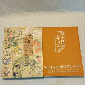 柴田是真 下絵・写生集 東京芸術大学美術館所蔵 東方出版 横溝広子・薩摩雅登 2005年 初版 輸送箱付 函入 画集 作品集　ゆうパック着払80