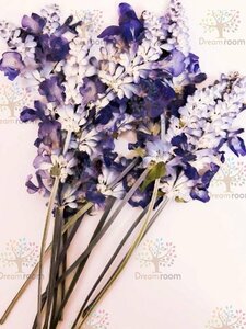  pressed flower material dry flower leaf craft resin DR603 pushed flower material lavender 1 2 ps 