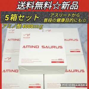 【★送料無料★5箱セット★セール】アミノサウルス スポーツサプリメント アミノ酸