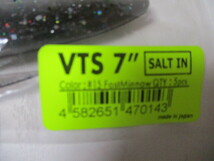 DRT　VTS　　7インチ　ソルトイン　　Fast Minnow　　　　　SALT IN　新品　_画像3