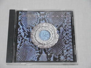  white Sune ik[ gray test *hitsu] domestic CD WHITESNAKE