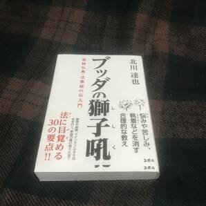 『初版帯付き』ブッダの獅子吼 原始仏典・法華経の仏入門★北川達也★コボル★仏教★法華経★宗教★中古本★