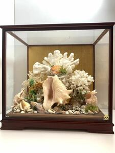 白珊瑚ガラスケースオブジェ シェル　置物 サンゴ インテリア　ディスプレイ美術工芸品　●