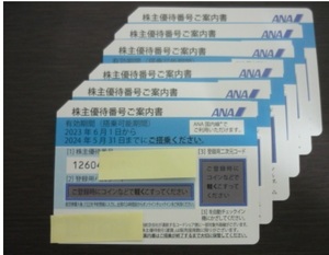 ANA 全日空 株主優待 割引券 1枚 2024年5月31日まで有効 