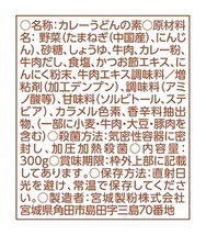 おとなの大盛カレーうどん 6袋 レストラン仕様 カレーうどんの素 辛口 カツオだしと野菜の旨味 簡単便利 レトルト食品 保存食 カレー鍋_画像2