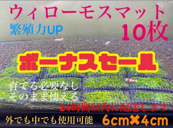 ウィローモスマット　10枚セット　業者様もご愛用　すぐ使えます。　24時間以内に配送します。