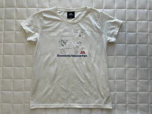 MOUNTAIN EQUIPMENT　マウンテンイクイップメント　Ｔシャツ　半袖　アイボリーレディース【中古】