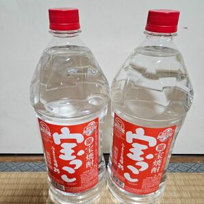 宝っこ 焼酎　2,7L　２本 