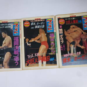 ◆大判プロレス新聞/週刊ファイト(96)S58年3冊ホーガン/スウィータンvsマクダニエル/ブロディvs鶴田/藤波/大巨人vs猪木/ミミ萩原/坂本龍一の画像1