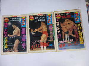 ◆大判プロレス新聞/週刊ファイト(96)S58年3冊ホーガン/スウィータンvsマクダニエル/ブロディvs鶴田/藤波/大巨人vs猪木/ミミ萩原/坂本龍一