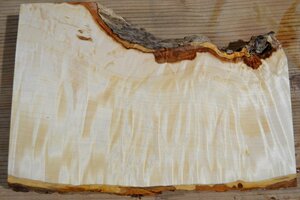 長33*幅13-22*厚1.5　トチ16の木材木工材,一枚板DIY銘木花台　　プレート栃