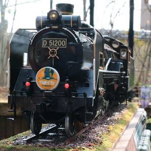 国鉄退職者記念品 D51形蒸気機関車 鉄道模型 改修品 1/24（Gゲージ） D51 200 ＳＬやまぐち号 仕様の画像5