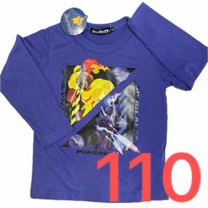 ポケモン　ポケットモンスター　グレンアルマ　ソウブレイズ　長袖　Tシャツ　子供服　110