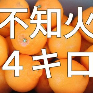 しらぬい◯不知火◯４キロ◯長崎県産