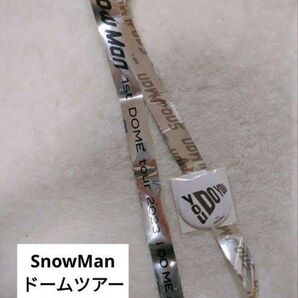 SnowMan 銀テープフル2本 千秋楽 最終日 バンテリンドーム