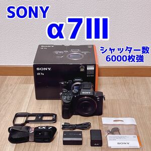 SONY α7III ILCE-7M3 おまけ付き