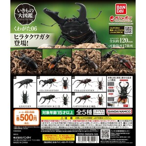 いきもの大図鑑 くわがた06 ノコギリクワガタ 本土 黒 ブラック くわがた ０６ クワガタ 昆虫 動物 生物 フィギュア バンダイ 新品未開封の画像4