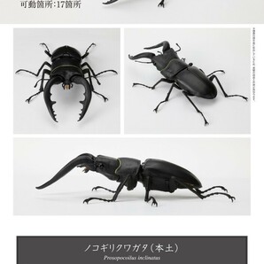 いきもの大図鑑 くわがた06 ノコギリクワガタ 本土 黒 ブラック くわがた ０６ クワガタ 昆虫 動物 生物 フィギュア バンダイ 新品未開封の画像1