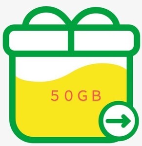 格安 クーポン利用で200円引 mineo 50GB 9999x5 50gb マイネオ パケットギフト マイネ王 9999MB アプリ MVNO 格安スマホ