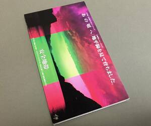 CDシングル(8cm)［安全地帯／あの頃へ 月桂冠 花鳥風月CMイメージソング c/w 地平線を見て育ちました］