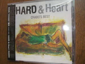 美品 帯付 仲井戸 チャボ 麗市 CHABO'S BEST HARD & HEART 「HARD」編 RCサクセション