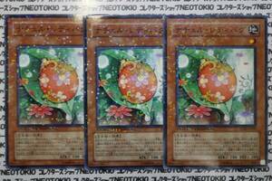 遊戯王 ナチュル・レディバグ(ノーマル DT07)×3枚セット