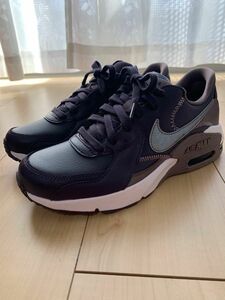 NIKE WMNS AIR MAX EXCEE LEA ナイキ エア マックス エクシー 25.0 新品未使用