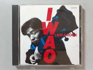 CD　山口岩男　I AM A ROCK　COCA-9535　1円