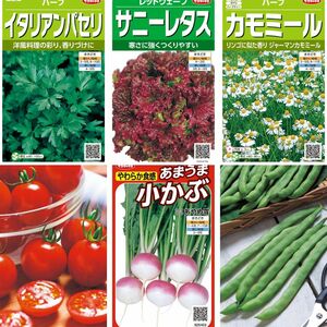 野菜 ハーブ 種子 5種類セット