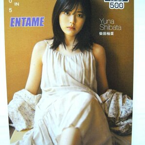 柴田柚菜 乃木坂46 ENTAME(エンタメ) QUOカード クオカード 500 未使用の画像1