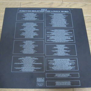 UK オリジナル盤 LP「Felt/Forever Breathes The Lonely Word」Creation CRE-LP-011 微睡みの果てに 英国盤 orig. ネオアコ アナログの画像4