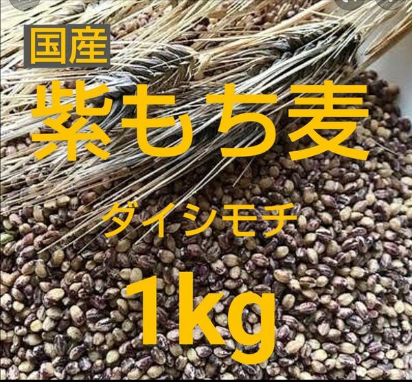 もち麦1kg