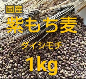 もち麦1kg