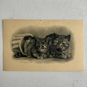 フランス アンティーク 1920-40s トラ 猫 親子 子猫 ポスト カード イラスト 写真 クラシック ポスター ぬいぐるみ おもちゃ ヴィンテージ