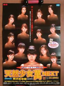 ポスター『 天然少女萬NEXT/横浜百夜篇』（1999年） 三池崇史 酒井彩名 山川恵里佳 安めぐみ こしばてつや 野村恵里 桐谷健太