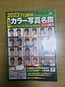 2023プロ野球　カラー写真名鑑